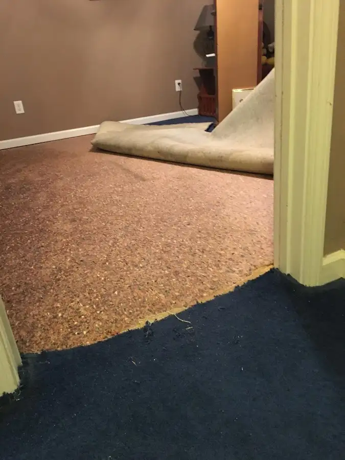 Carpet pad removal revealing water damage during Water Mitigation Services in West Carrollton