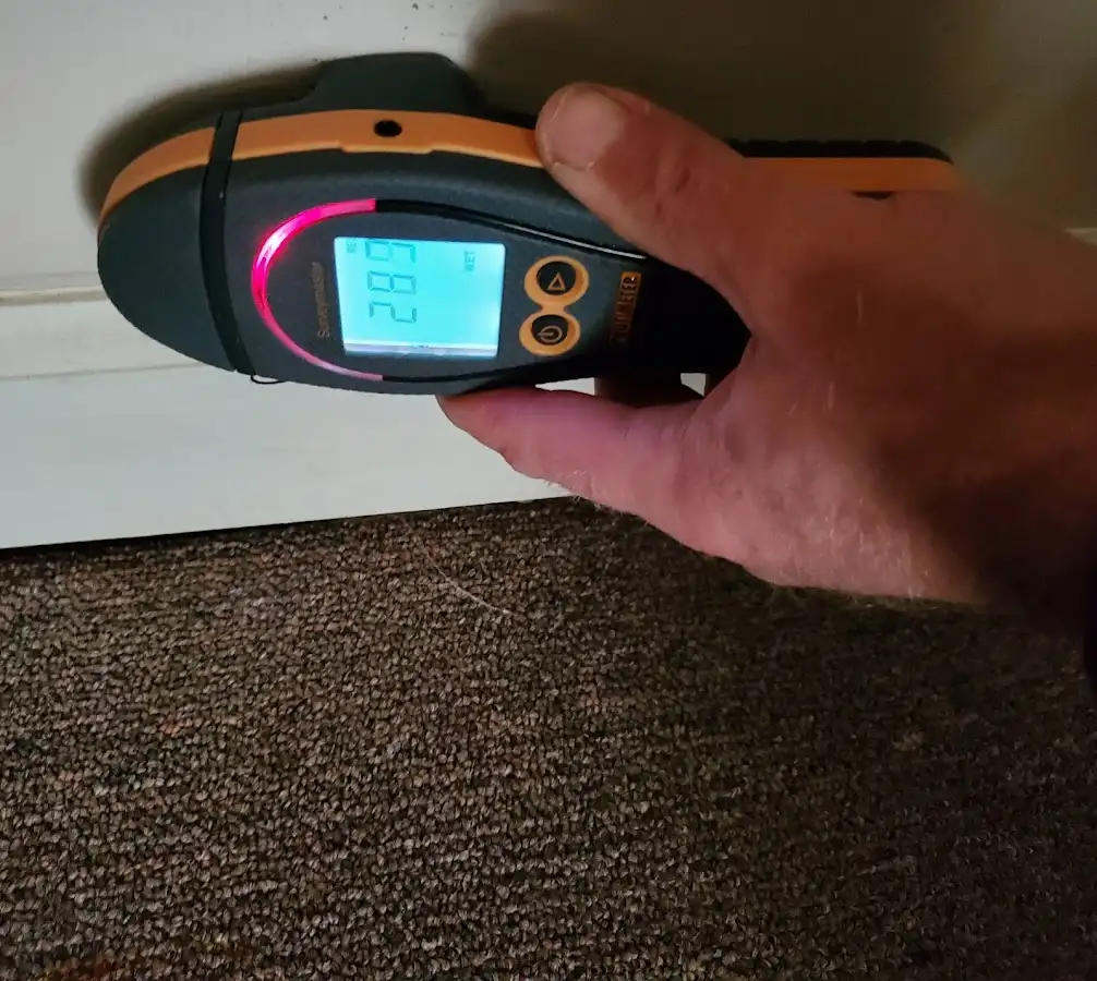 Moisture detection at baseboard during Sewage Cleanup & Sanitation in West Carrollton